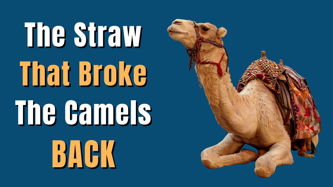 The Straw That Broke the Camel's Back - Idiom Meaning, Origin, Examples