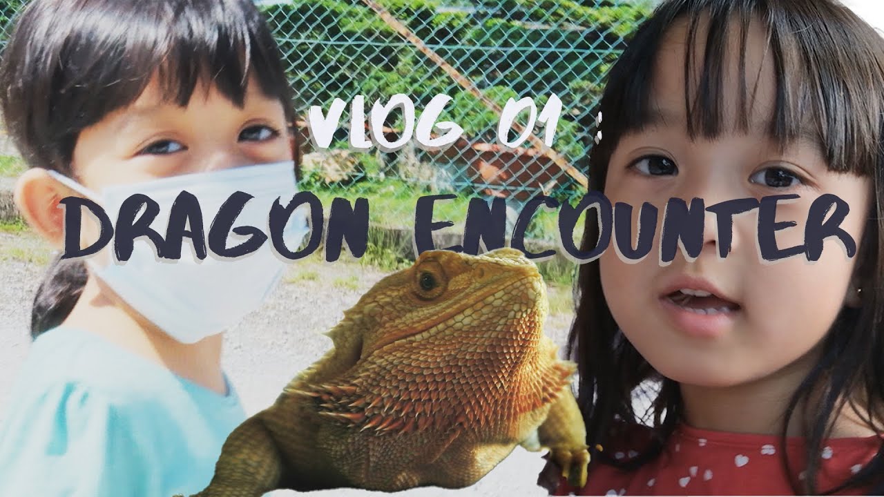 Ara & Ba : Dragon Encounter | Vlog 01