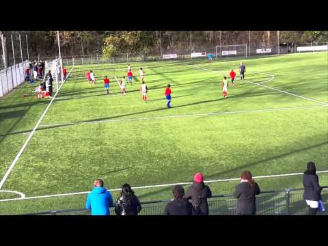 Samenvatting DVSU E1 - DOSC E2