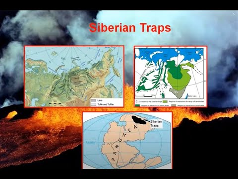 Permian-Triassic Boundary: The Great Dying | Vibepedia