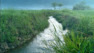 Download lagu Story WA pagi hari | Cinematic 30 detik | Cinematic Video |  Aeshetic Alam | Sinematic estetic keren mp3