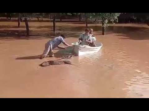 COLECTA SOLIDARIA PARA RIVADAVIA BANDA SUR EN LOCALIDAD DE MORRILLO Y PROVINCIA DE SALTA Y CHACO 