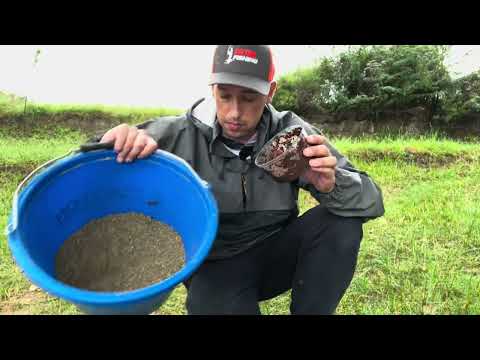 Fishing in the RAIN, Vaal river muddies, carp & CATFISH 😯 | Nevs Vlog