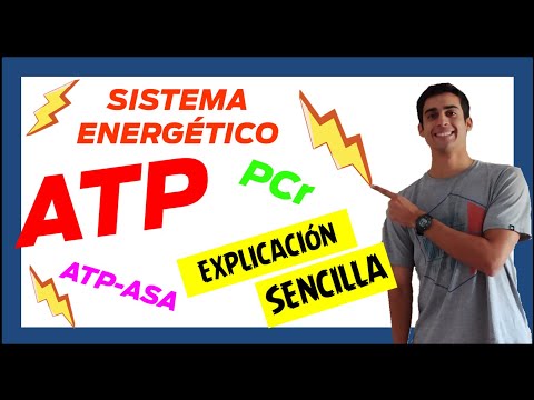 ⚡ ATP PC ENERGY SYSTEMS ⚡ (Easy to understand) (1st part) Role of ENZYMES in metabolism