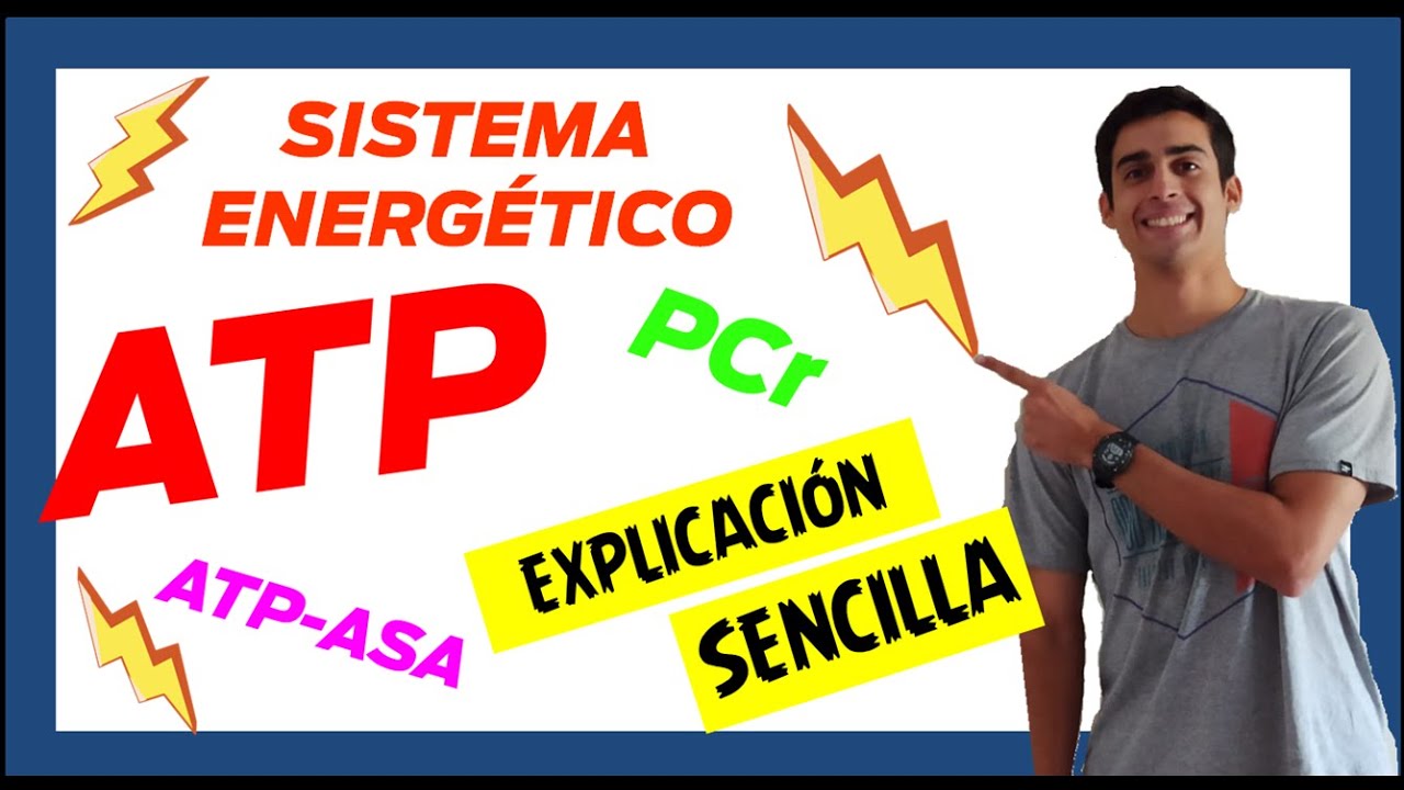 ⚡ ATP PC ENERGY SYSTEMS ⚡ (Easy to understand) (1st part) Role of ENZYMES in metabolism