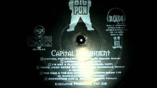 Big Punisher   Tres Leches Triboro Trilogy RZA Instrument