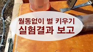 월동없이 꿀벌 키우기 실험 결과를 보고드립니다.