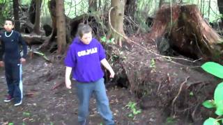preview picture of video 'Kalaloch campground campsite D15 review'