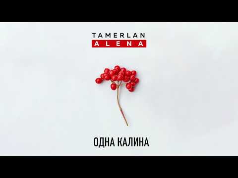 TamerlanAlena - Одна Калина