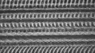 (Ancient Methods & Cindytalk) In The Mouth of the Wolf - Sleight of Hand  [DIAG028]