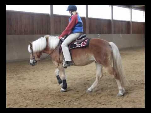 Pferdegerechter Beritt & Pferdeausbildung bei Trainerin Johanna Deppisch