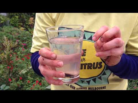 Down and Dirty Soil Basics 5: Soil Gypsum Test