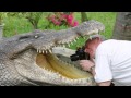 Крокодил в речке Нил Мурзилки Int 