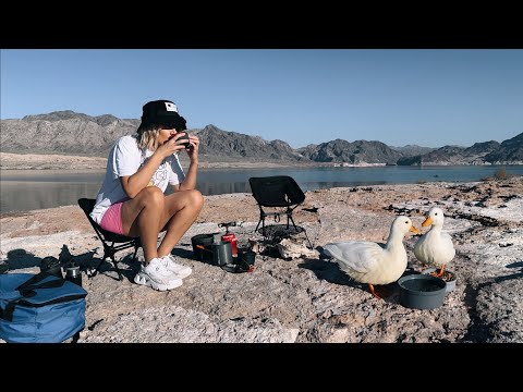 Kayaking & Camping with Pet Ducks / Camp with Pets in the Wilderness