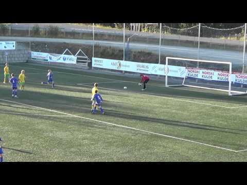 FK Senja SMG-Storsteinnes 20-0 - 9. september 2013