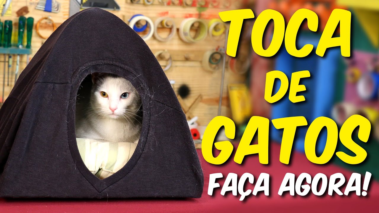 Toca de gatos instantânea com camiseta ft. Quatro Patas 🔵Manual do Mundo