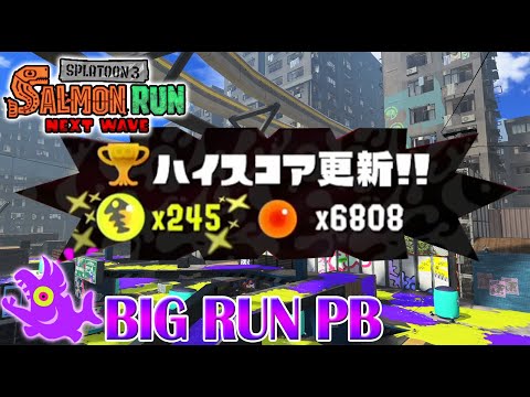 245 High Score in Eeltail Alley Big Run! - Splatoon 3 Salmon Run Next Wave