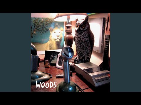 Ring Me To Sleep - Woods