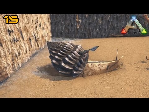 Snail's Pace  | ARK: The Center Ep. 15