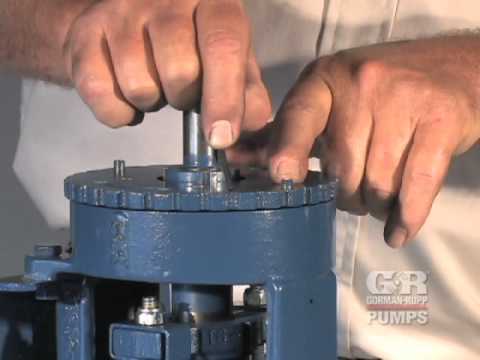 Gorman-Rupp Rotary Gear Pump End Clearance Adjustment