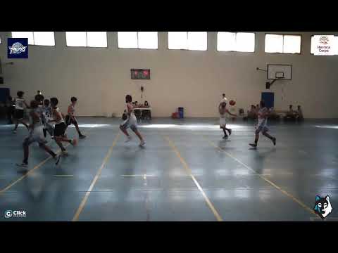 PREINFANTIL MASCULINO : CB 7 Palmas -  Heidelberg