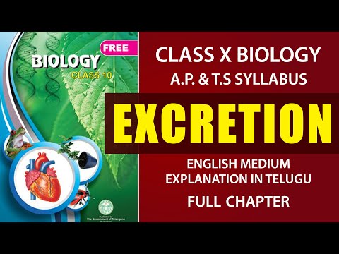 #Excretion Full chapter|  Human excretory system Explanation in telugu | AP & TS  class 10 Biology