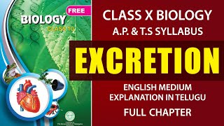 #Excretion Full chapter  Human excretory system Ex
