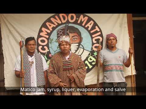 Aid indigenous health collective ~ Comando Matico
