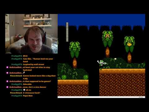 Mega Man 2 - Vine Man (Hard)