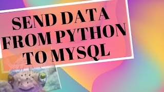 SEND DATA FROM PYTHON TO MYSQL: CSV | DATAFRAME | EXPORT CSV