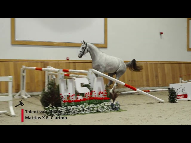Talent van Altrido