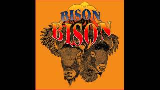 Bison, Bison - Rivertown