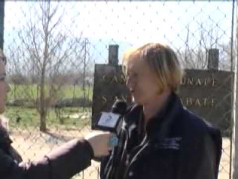 ONDA TG 3.04.2013 - EPIDEMIA CIMURRO AL CANILE DI SULMONA