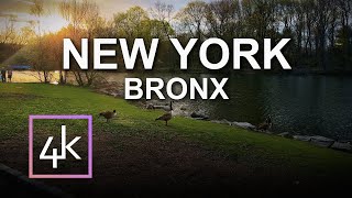 Experience the HIDDEN GEM of Van Cortlandt Park! [4k, Stereo]
