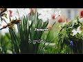 Ninnu Kori Varnam Varnam Sari Sari Song WhatsApp Status By Jyosruthi