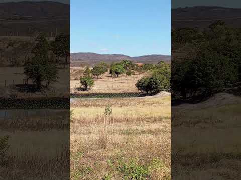 Fazenda JH Matina Bahia