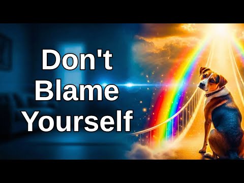 Don't Blame Yourself 💔 A Dog's Last Message | Rainbow Bridge Tribute Song 🌈🐾"