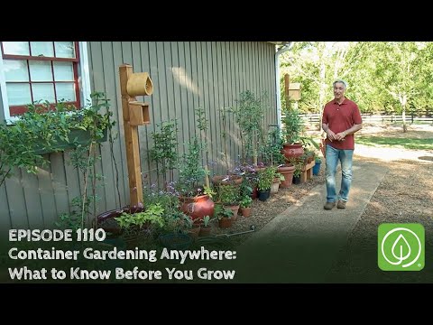 Growing a Greener World Episode 1110: Container Gardening Anywhere: What to Know Before You Grow