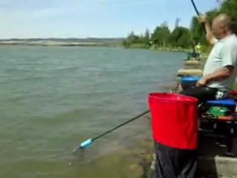 CARPE AD ARCOS DE LA FRONTERA