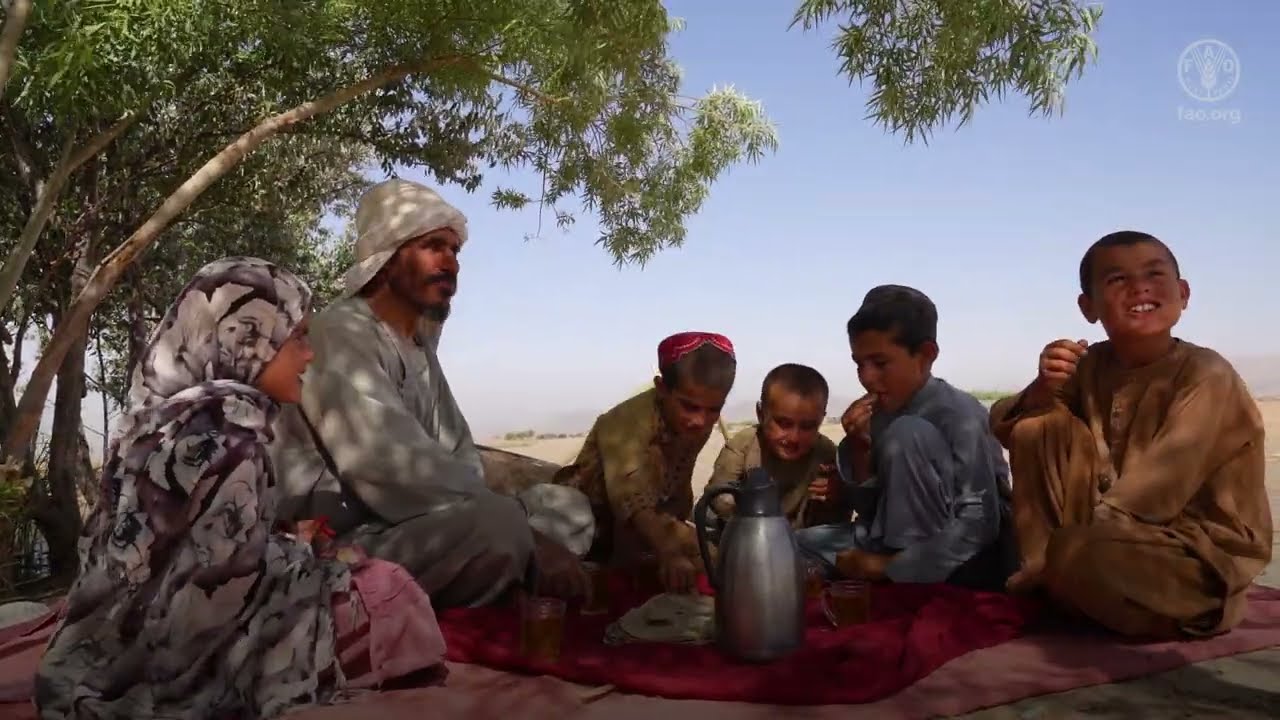 Wheat production in Afghanistan