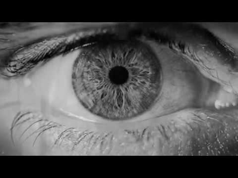 DNA by Valentina B. [Wattpad]