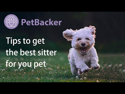 10 tips to get the best pet sitter for your dog, cat or pets