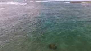 preview picture of video 'Goat Island in Oahu, Hawaii by quadcopter'