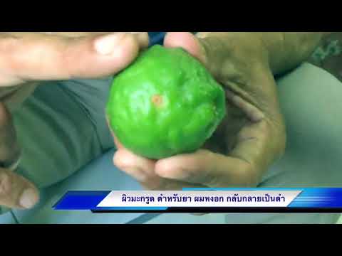 กระตือรือร้นสำหรับยาแรง วิธีการเท Exciter วิดีโอผู้หญิง