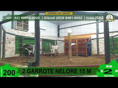 PAI ETERNO LEILOES RURAIS - GOIANESIA- GO - ARREMATE