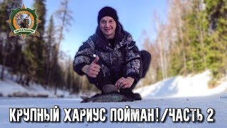 Ловля хариуса в челябинской области запрещена