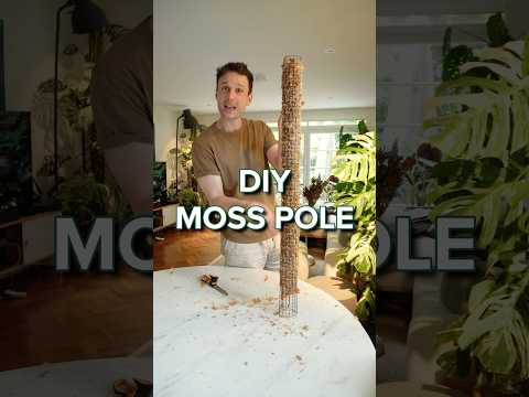 Super easy way of making your own Moss Poles. Check out my channel for more tutorials :) #mosspole