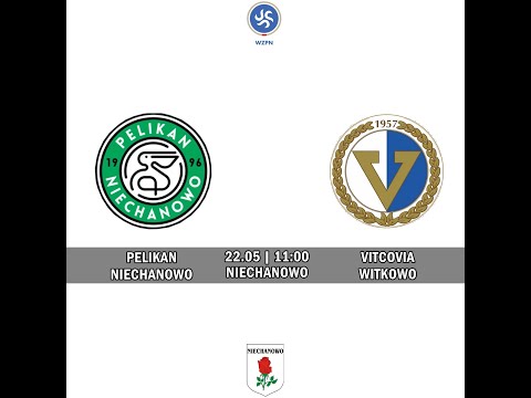 SKRÓT MECZU Pelikan Niechanowo vs GKS Vitcovia Witkowo