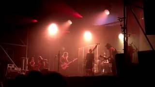 Kovacs Wolf in cheap clothes op Retropop Emmen