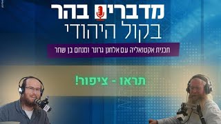 מדברים בהר: תראו - ציפור! (חדשות הקול היהודי) - התמונה מוצגת ישירות מתוך אתר האינטרנט יוטיוב. זכויות היוצרים בתמונה שייכות ליוצרה. קישור קרדיט למקור התוכן נמצא בתוך דף הסרטון מדברים בהר: תראו - ציפור! (חדשות הקול היהודי) - התמונה מוצגת ישירות מתוך אתר האינטרנט יוטיוב. זכויות היוצרים בתמונה שייכות ליוצרה. קישור קרדיט למקור התוכן נמצא בתוך דף הסרטון